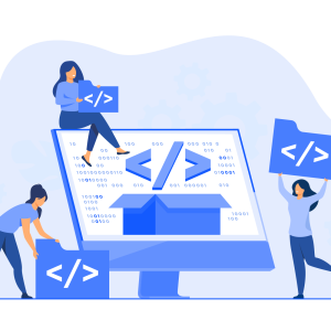 Plugin development setup and configuration services