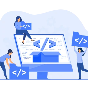 Plugin Setup / Configuration & custom development